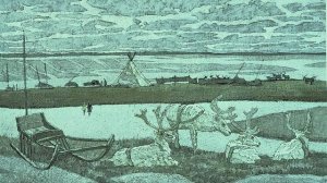 ИЮНЬСКАЯ  ТУНДРА...