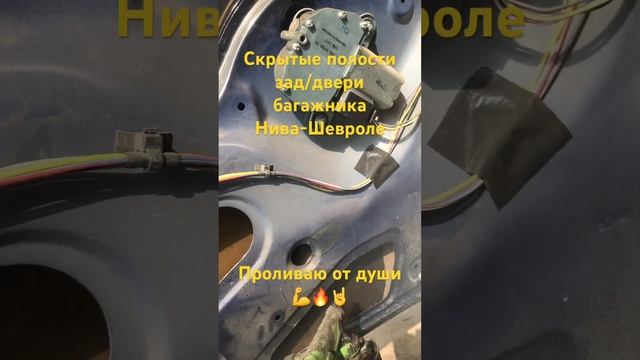 Скрытые полости задней двери багажника Нива-Шевроле.Был произведён демонтаж обшивки смотреть онлайн