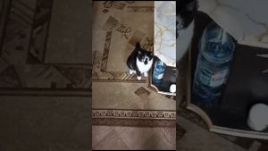 Тюмень,дом...