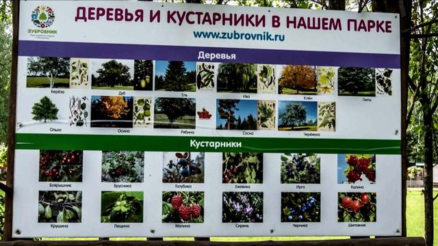 Новокавголовский лесопарк