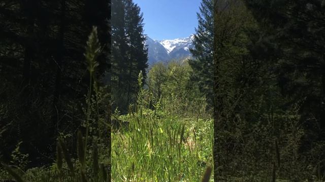 Медитация Исцеляющая сила стихий . Шум травы , птицы , ветер , река . смотреть онлайн