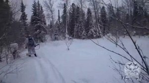 Охота на рябчика 2019. Красноярский край