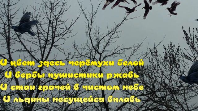 С ВЕСНОЙ! Красивое Музыкальное Поздравление. смотреть онлайн