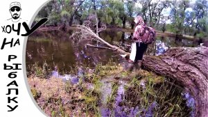 Вот и я открылся по щуке. Разведка по протоке Оби. Окунь на блесну. 17.05.2020
