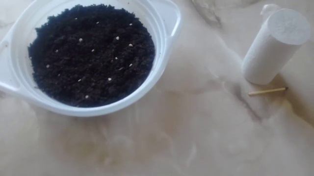 Мои ЛЮБИМЫЕ СПОСОБЫ посева СЕМЯН на РАССАДУ. ЭКСПЕРИМЕНТ часть 1 11 03 2019г смотреть онлайн