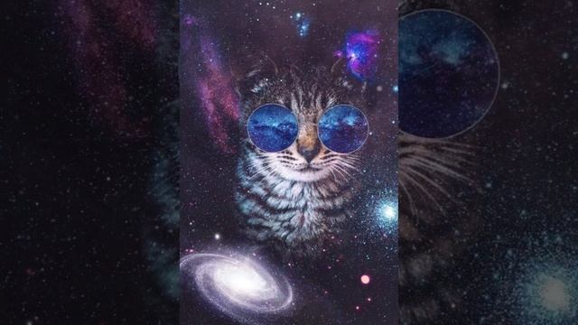 Https://vk.com/m_gifart