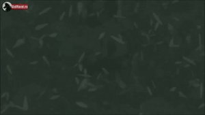 Топ 10 Сильнейших Персонажей из Аниме Наруто | Naruto - Boruto Top