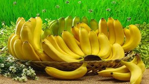 Где растут бананы?