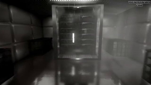 Reflecting Fate | Финал и тяжелый выбор смотреть онлайн