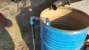 Автополив из бочки с дождевой водой. Без насосов и электричества