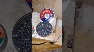 Cricket 4,5 отстрел в хрон