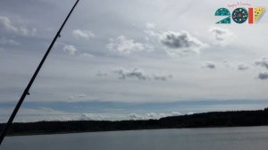 На что ловить карася осенью. Где ловить карася осенью. Какую выбрать прикормку.