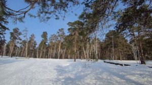 Челябинск Монахи.Зимний вальс.18.02.2023г
https://rutube.ru/video/38aafd809f92e6500b682630fcf1dc4a/