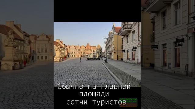 Подарок украинцам от польского правительства, улицы Познани и наши на границе смотреть онлайн
