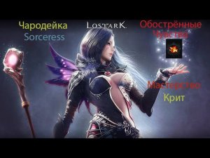 ПВЕ гайд Чародейка Сорка Lost Ark 2.15.1.1 ♦ PVE билд Sorceress ♦ Explosion