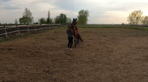 Учимся и играемПифагор