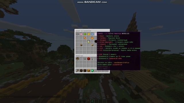 Проверка сервера BananaCraft