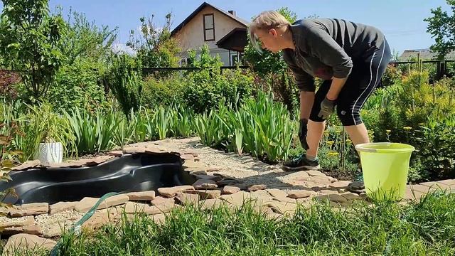 Декоративний ставок у садку. Частина 2. Розпаковка і посадка німфей!