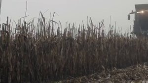 Полугусеничный ход Sabatino – обзор оборудования