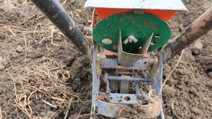 КАК БЫСТРО ПОСАДИТЬ ВОЗДУШКУ ЧЕСНОКА.  ОСНОВНЫЕ ЭТАПЫ ПОСАДКИ