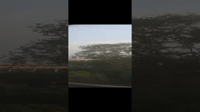 1000003715.mp4