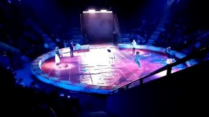 Цирк Запашных в Магнитогорске - Оркестр