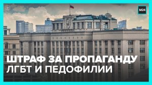 ГД приняла закон о штрафах до 10 млн рублей за пропаганду ЛГБТ, педофилии и смены пола - Москва 24