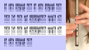 Legend Of Zelda - Temple Of Time OST | Tin Whistle Tabs Tutorial with @Lukewebbharpist