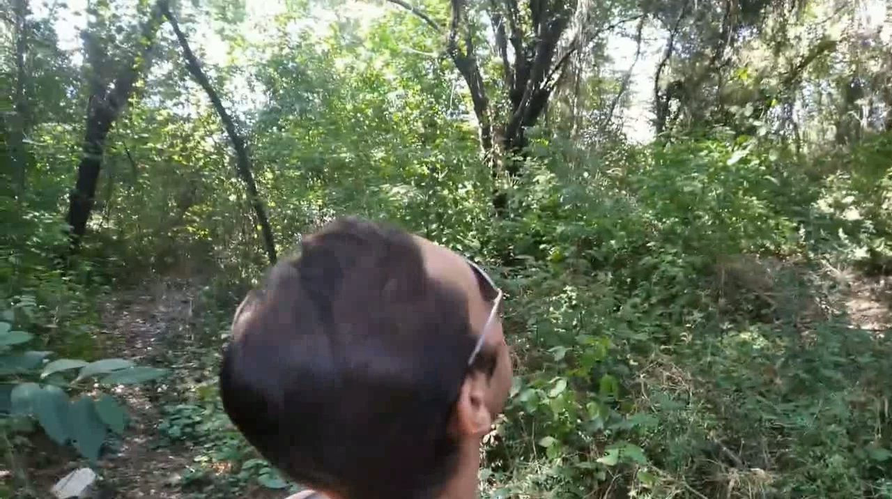 Хищник и Хищник-2 (Predator) - Сочи-Адлер (сентябрь 2022, август-сентябрь 2023) смотреть онлайн