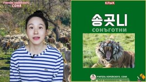 Корейские слова на тему "Части тела животных"