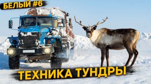 БРОШЕННАЯ ТЕХНИКА В АРКТИКЕ. МАССОВАЯ ГИБЕЛЬ ОЛЕНЕЙ В ЯМАЛЬСКОЙ ТУНДРЕ. О.БЕЛЫЙ #6