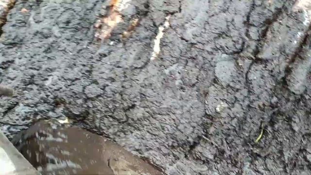 Заготовка древесины зимой. Один день из жизни лесовоза. смотреть онлайн