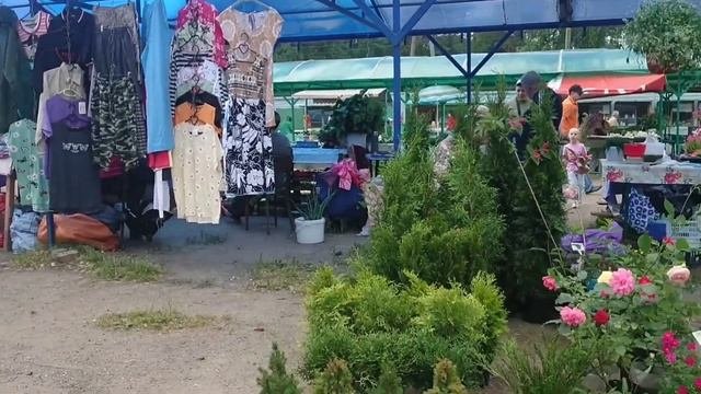 Идем на рынок! Обзор рынка в дачном поселке
