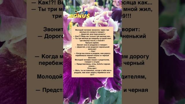 Молодой человек? #анекдот #анекдоты #прикол #ржака #юмор