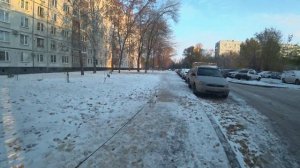 Просто гуляем! Будни ДЖЕК РАССЕЛ ТЕРЬЕРА.