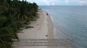 Лечче в Италии: где на карте город, достопримечательности, пляжи Отранто