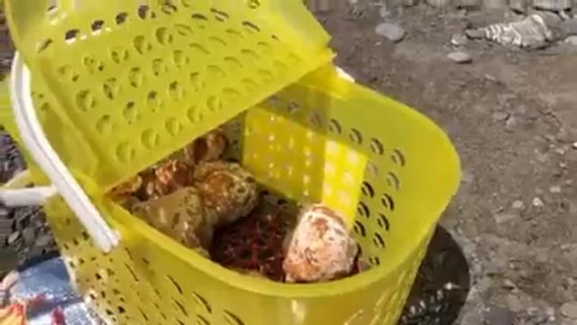 Самосы Солнечногорское Крым 2018 смотреть онлайн