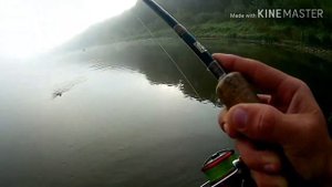 Ловля окуня на Оке.Тульская область.Рыбалка 2019.