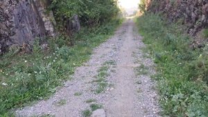В Кусе