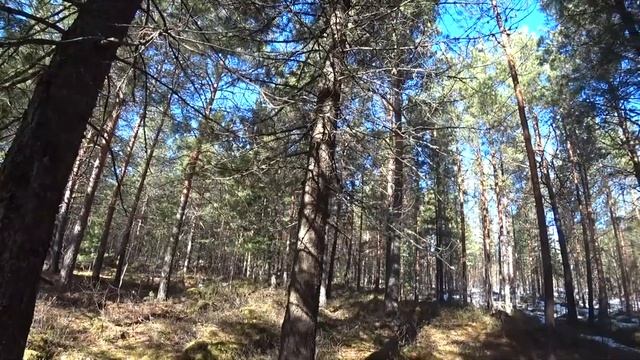 Спасаем землянику смотреть онлайн