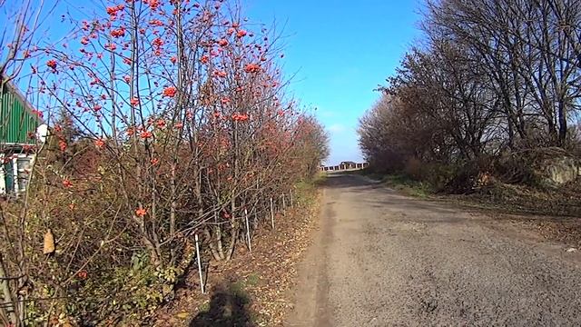 ТестДрайв МотоЦиклов ИЖ (часть 1)