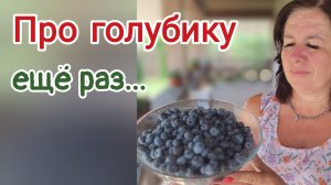 Про голубику... ещё раз..