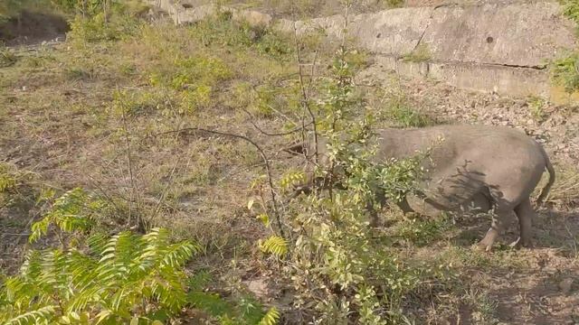 Я ВЕРНУЛСЯ в Крым. Где ЛЮДИ? Конец Сезона. Показываю ВСЮ ПРАВДУ куда я попал. смотреть онлайн