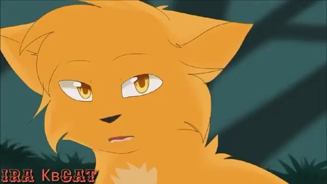 Коты воители песня :Crades. смотреть онлайн