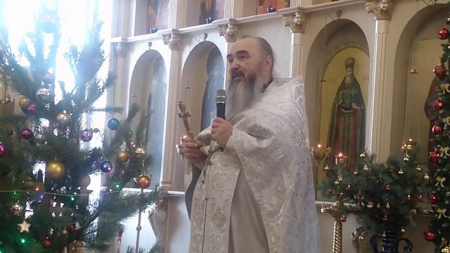 Слово протоиерея Симеона Антипова после воскресной литургии 15.01.23г. смотреть онлайн