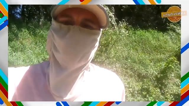 15 КРУТЫХ ТОВАРОВ ДЛЯ КЕМПИНГА С ALIEXPRESS смотреть онлайн