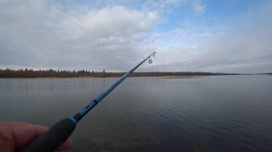 Ловля на спиннинг на Оби в конце второй декады октября