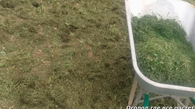 192. Как оживить запущенный участок