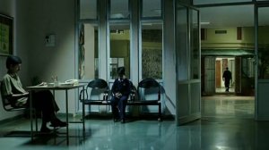 Звёздочки на Земле