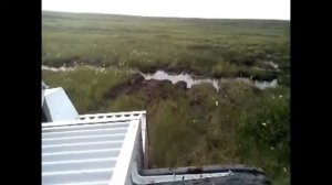 Тундра и Каракат